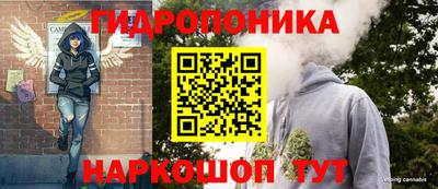 jwh Шебекино
