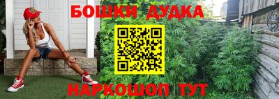 jwh Шебекино