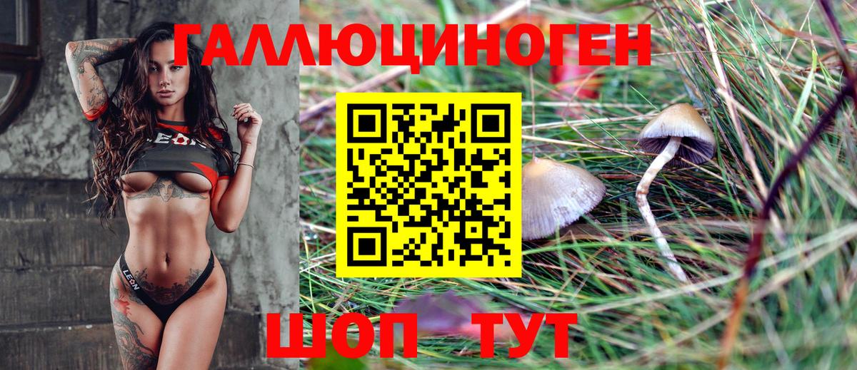 Галлюциногенные грибы Psilocybe  Вход с VPN  Белореченск 